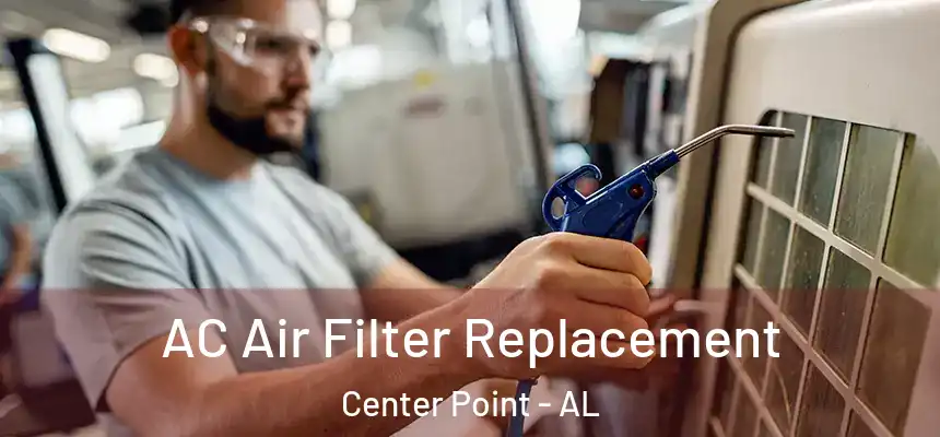  AC Air Filter Replacement Center Point - AL