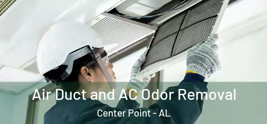 Air Duct and AC Odor Removal Center Point - AL