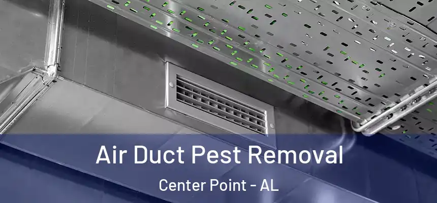 Air Duct Pest Removal Center Point - AL