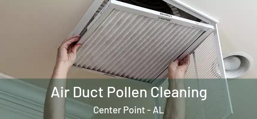  Air Duct Pollen Cleaning Center Point - AL