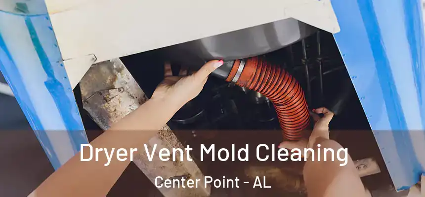  Dryer Vent Mold Cleaning Center Point - AL
