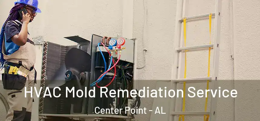 HVAC Mold Remediation Service Center Point - AL