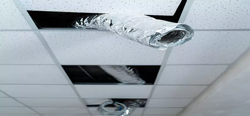 Affordable HVAC Sanitizing After Pest Removal in Center Point