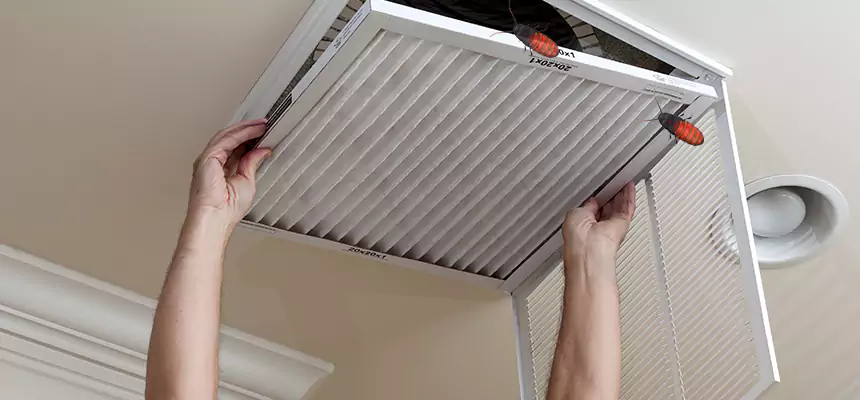 Our Insect Removal from Air Ducts Services in Center Point, AL