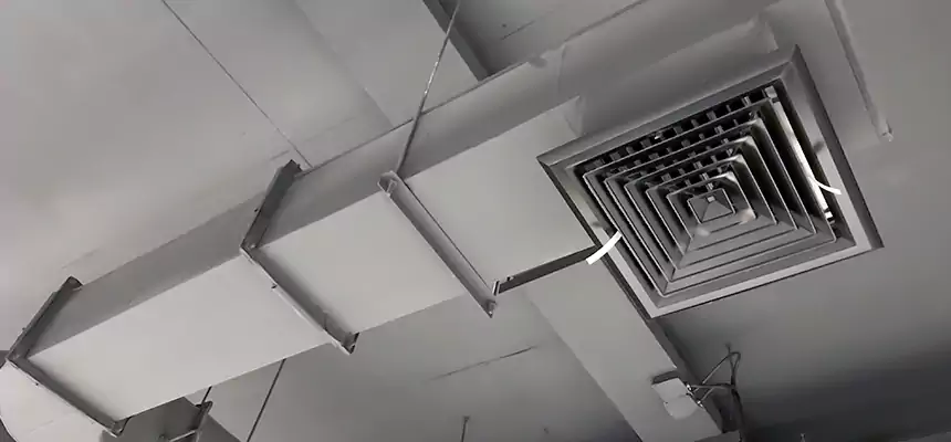 Our Pest Removal From Ducts Services in Center Point, AL