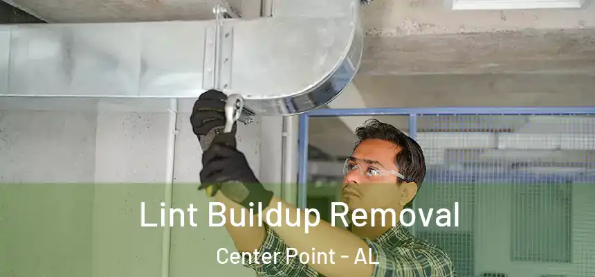  Lint Buildup Removal Center Point - AL