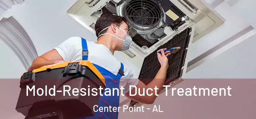 Mold-Resistant Duct Treatment Center Point - AL