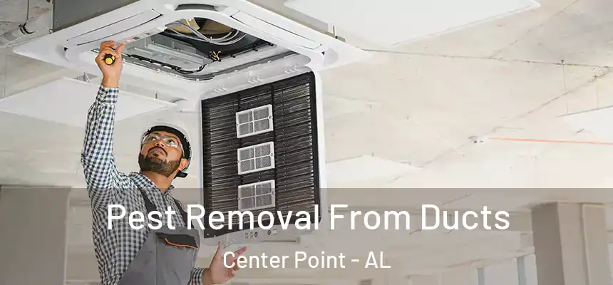  Pest Removal From Ducts Center Point - AL