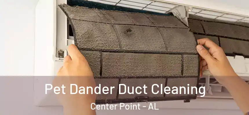  Pet Dander Duct Cleaning Center Point - AL