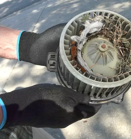 About Air Duct Rat Removal in Center Point, AL