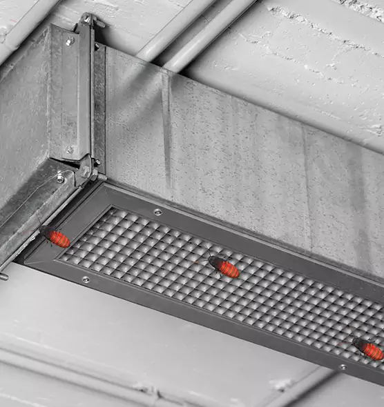 Affordable Insect Removal from Air Ducts in Center Point, AL