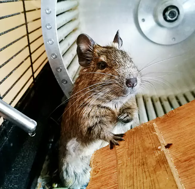 Why Homeowners & Businesses Trust Us Center Point, AL?