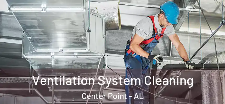  Ventilation System Cleaning Center Point - AL